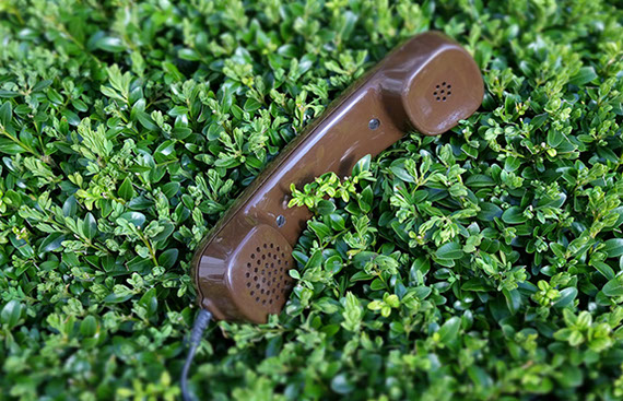 Kontakt Gartenbau Vogel