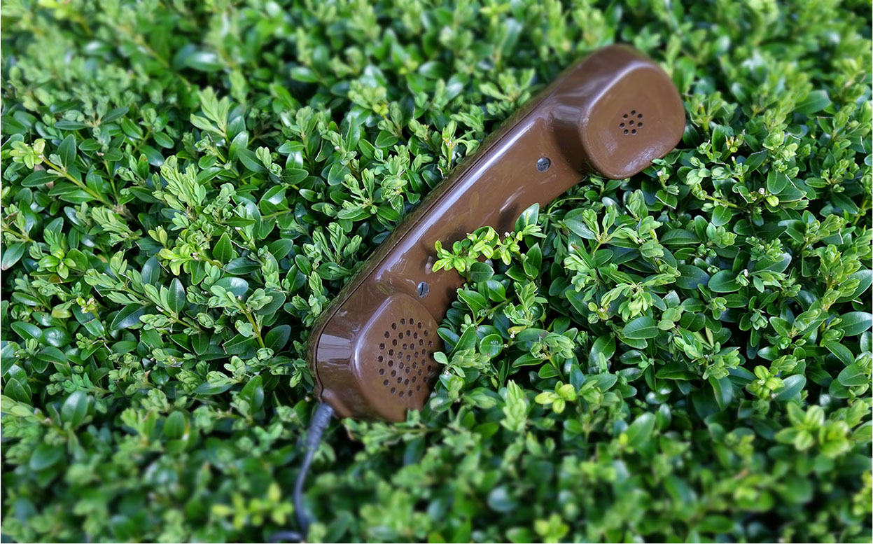 Kontakt Gartenbau Vogel