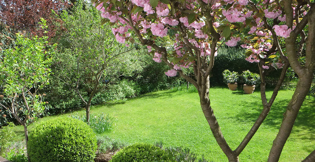 Garten von Gartenbau Vogel
