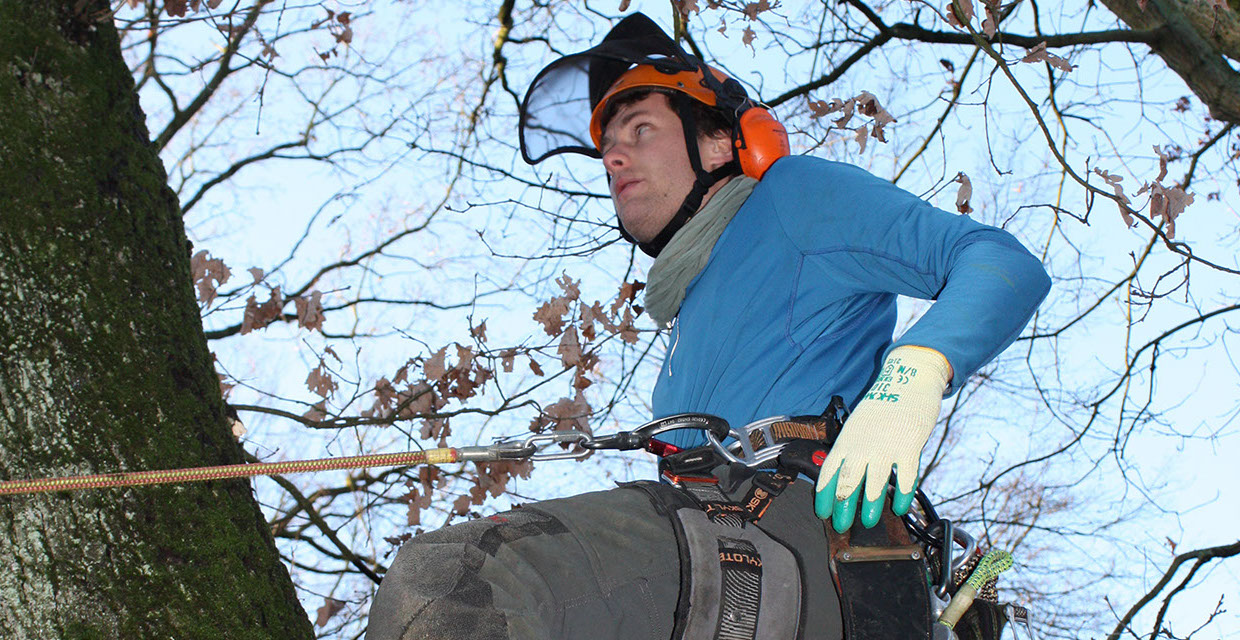 Klettertechnik Gartenbau Vogel