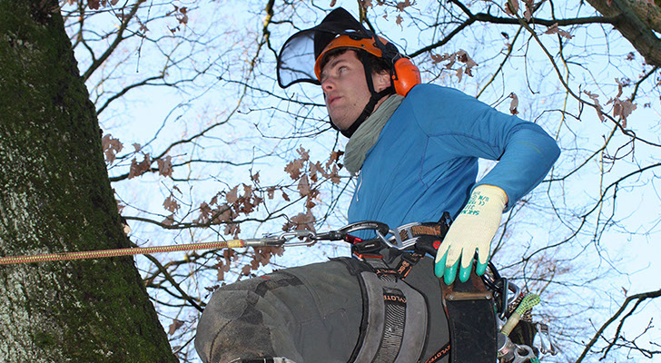 Klettertechnik Gartenbau Vogel