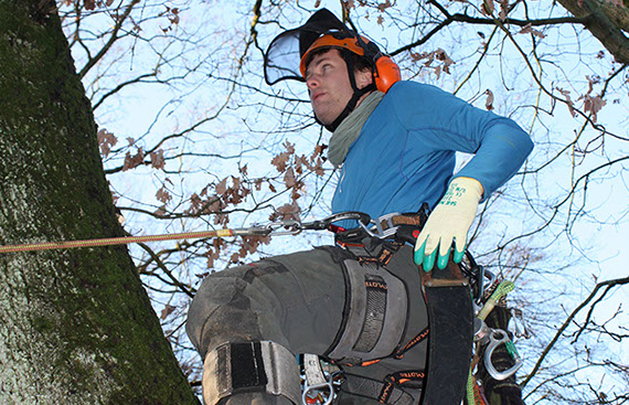 Klettertechnik Gartenbau Vogel
