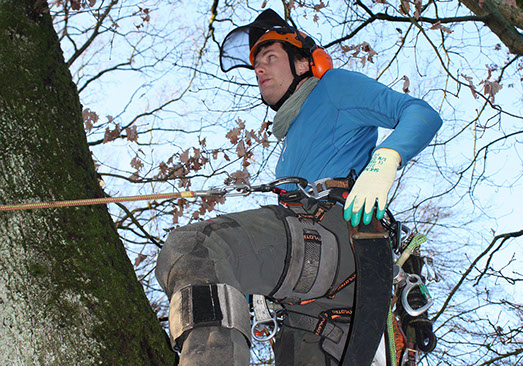 Klettertechnik Gartenbau Vogel