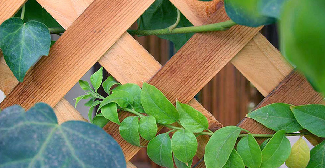Sichtschutz bauen Gartenbau Vogel