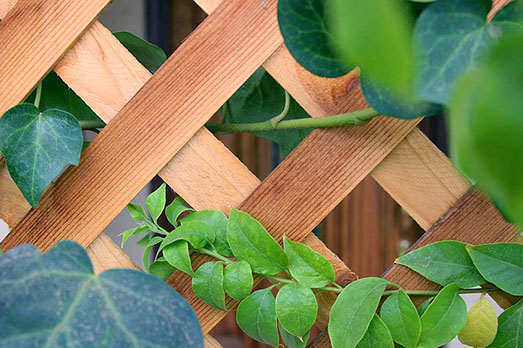 Sichtschutz bauen Gartenbau Vogel